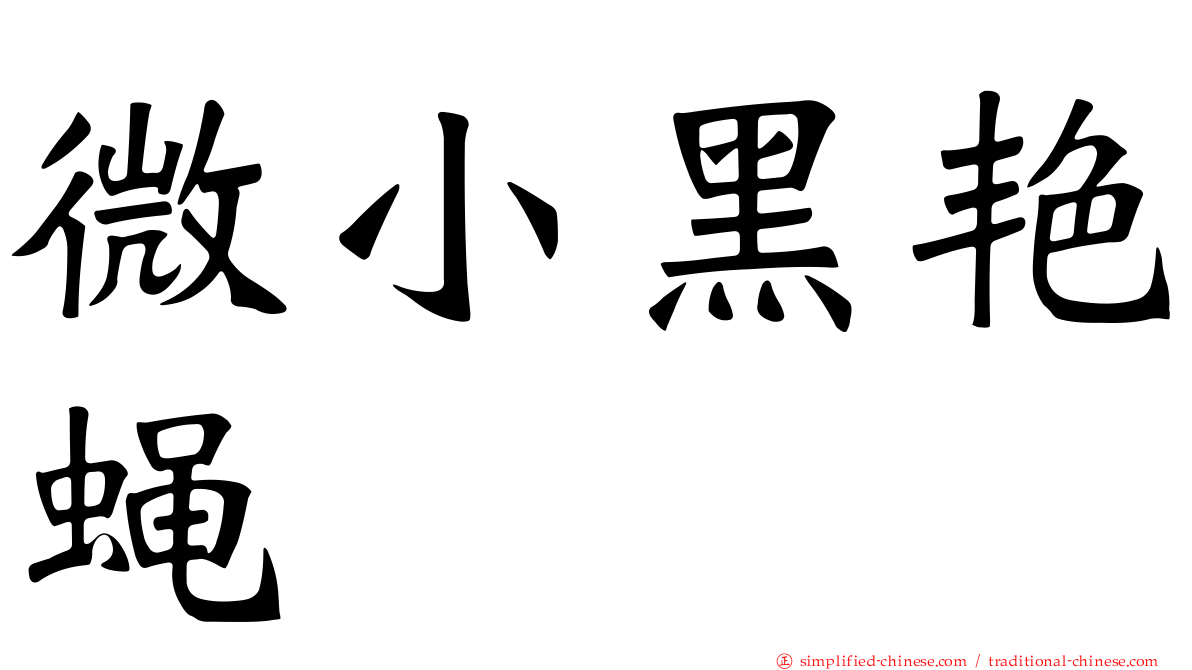 微小黑艳蝇