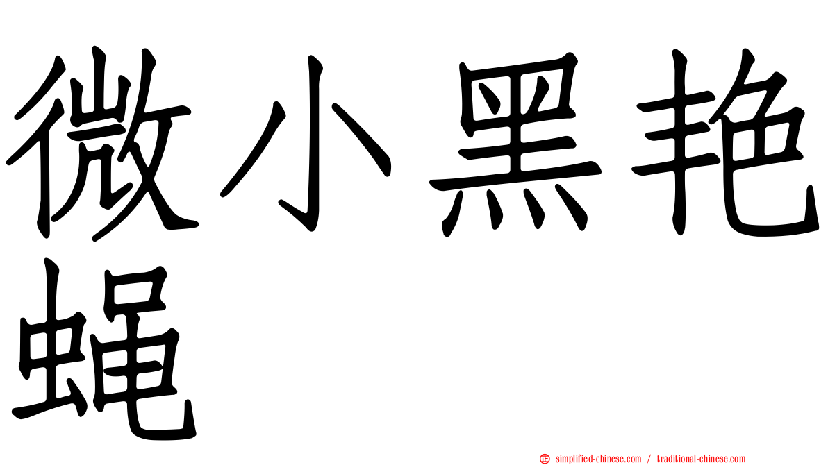 微小黑艳蝇