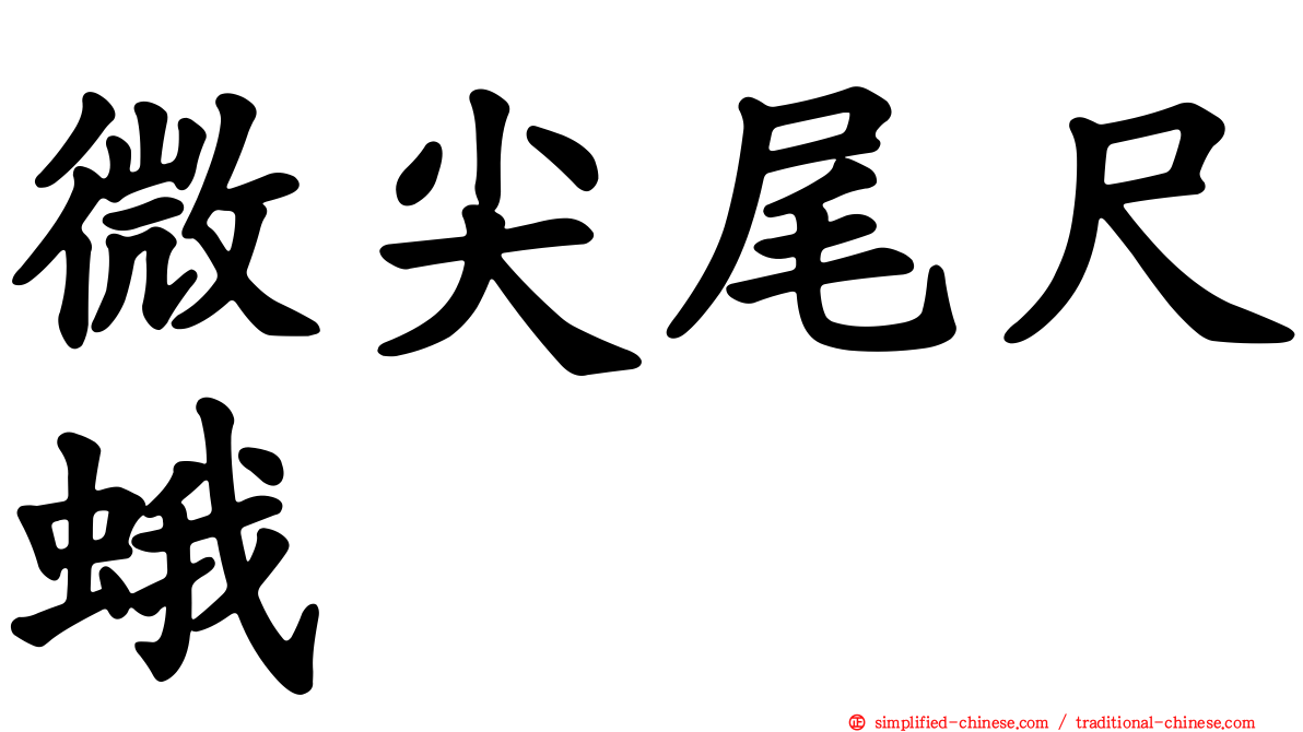微尖尾尺蛾