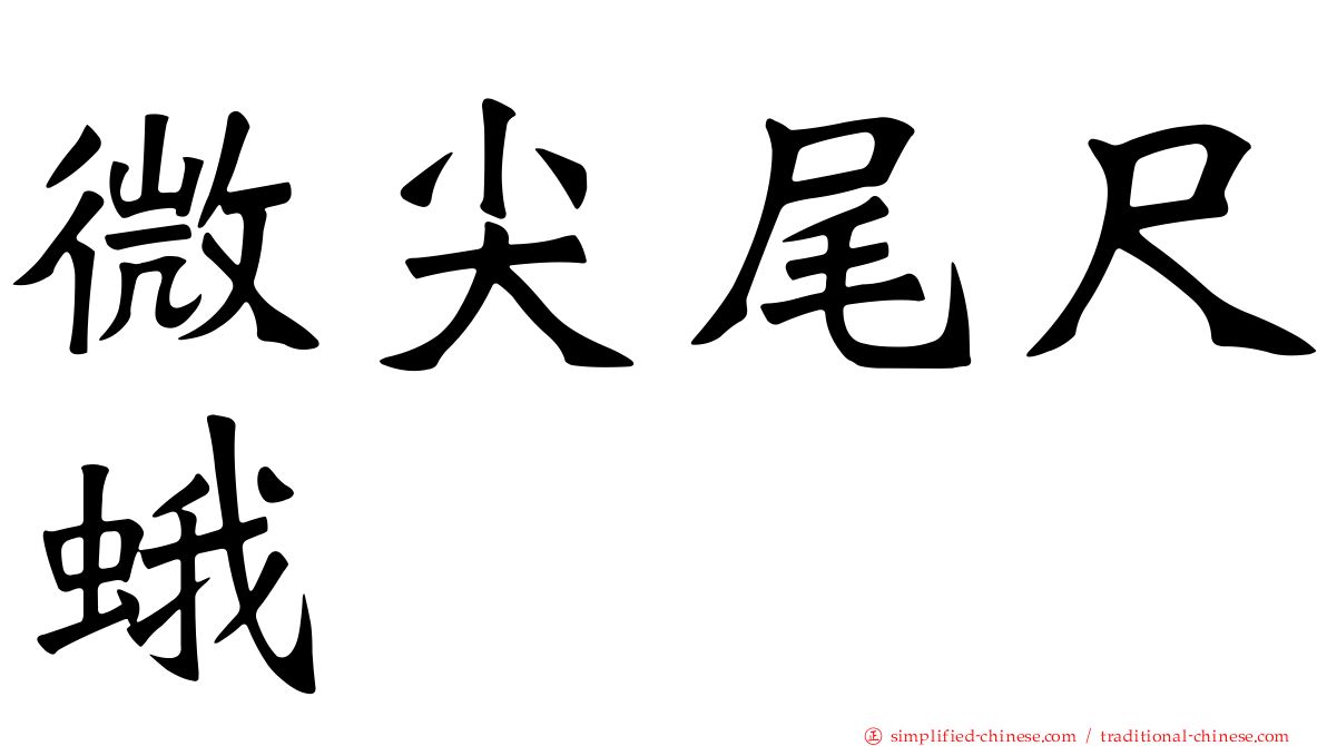 微尖尾尺蛾