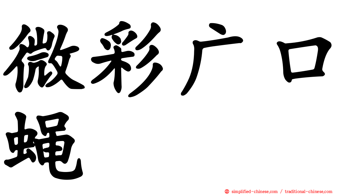 微彩广口蝇