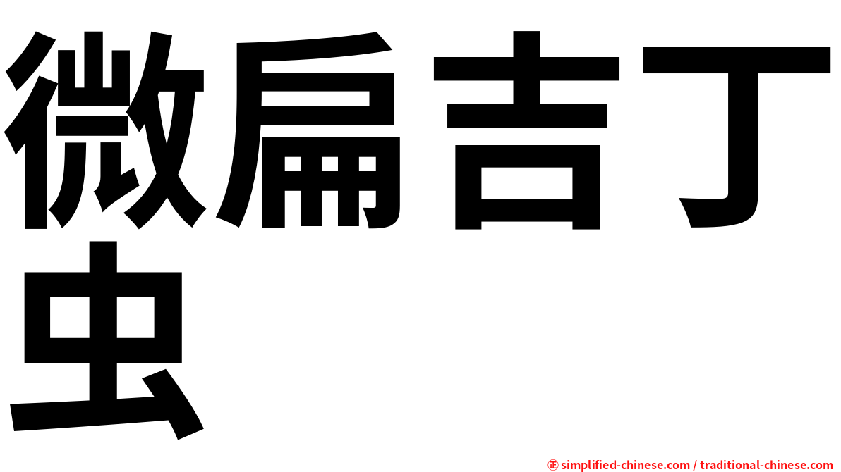 微扁吉丁虫