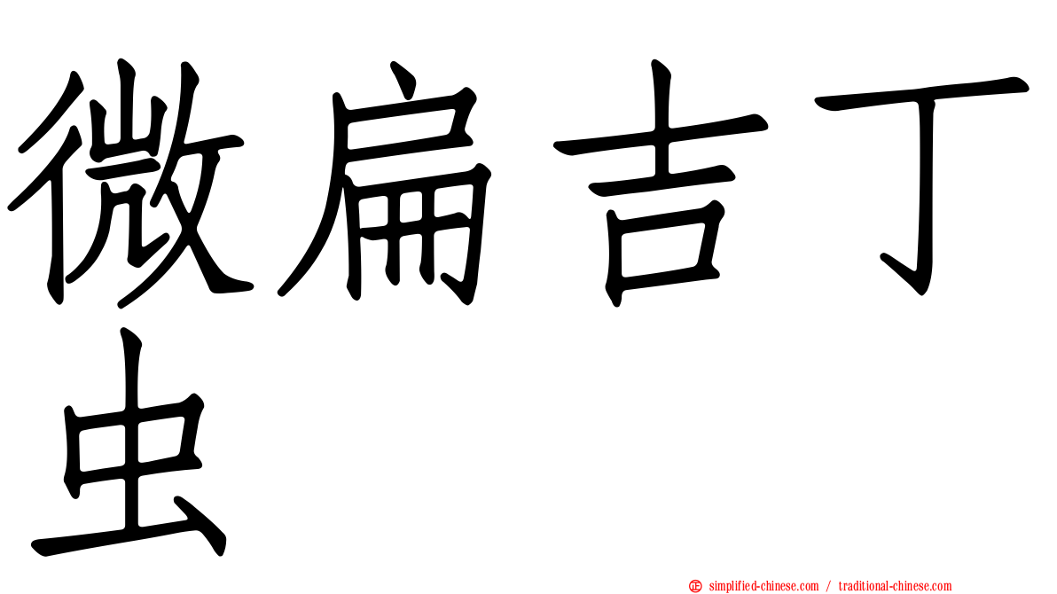 微扁吉丁虫
