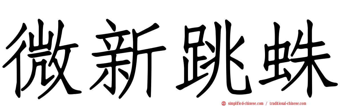 微新跳蛛