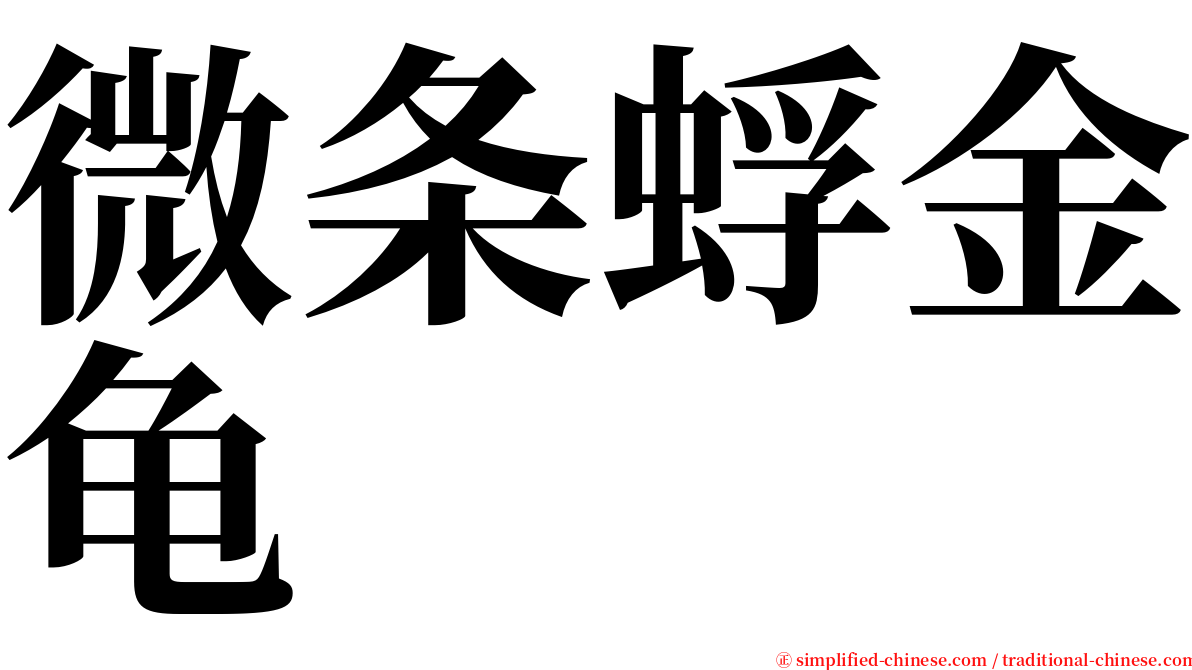微条蜉金龟 serif font