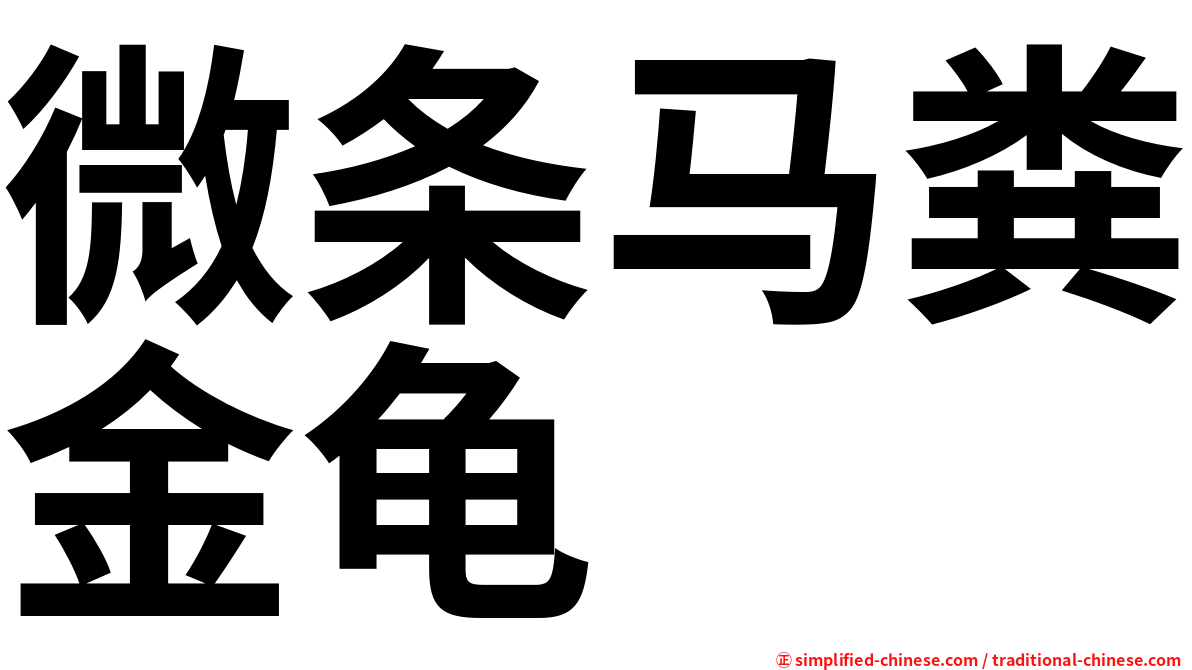 微条马粪金龟