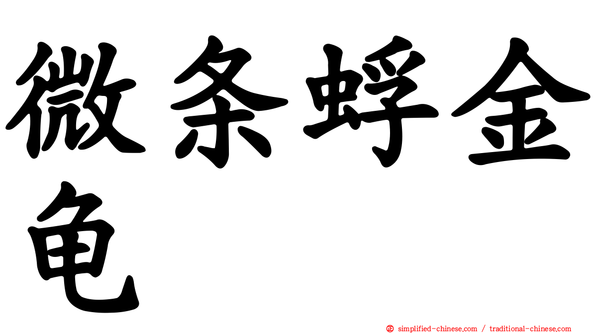 微条蜉金龟