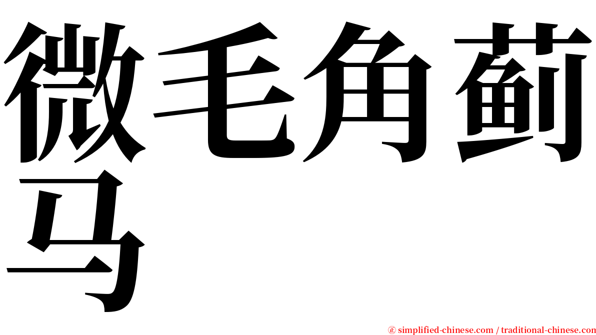 微毛角蓟马 serif font