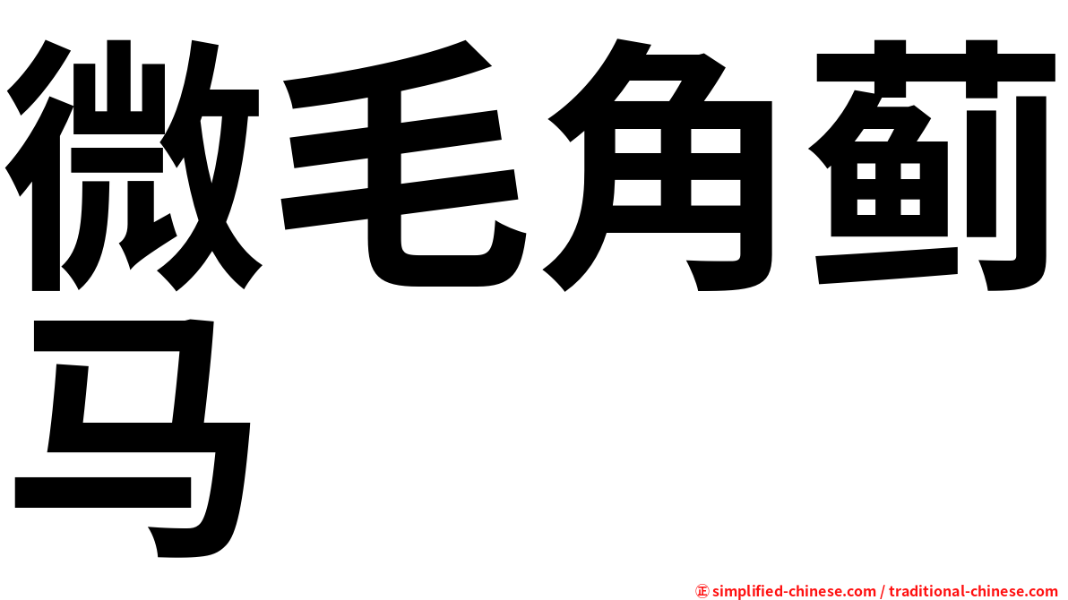 微毛角蓟马