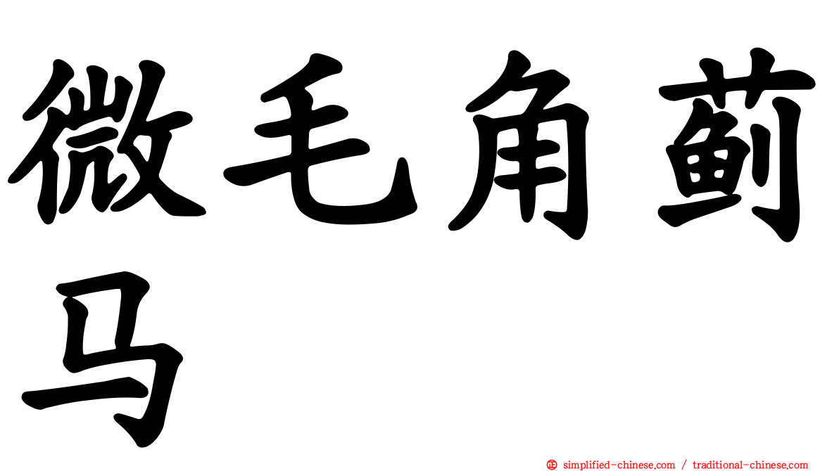 微毛角蓟马