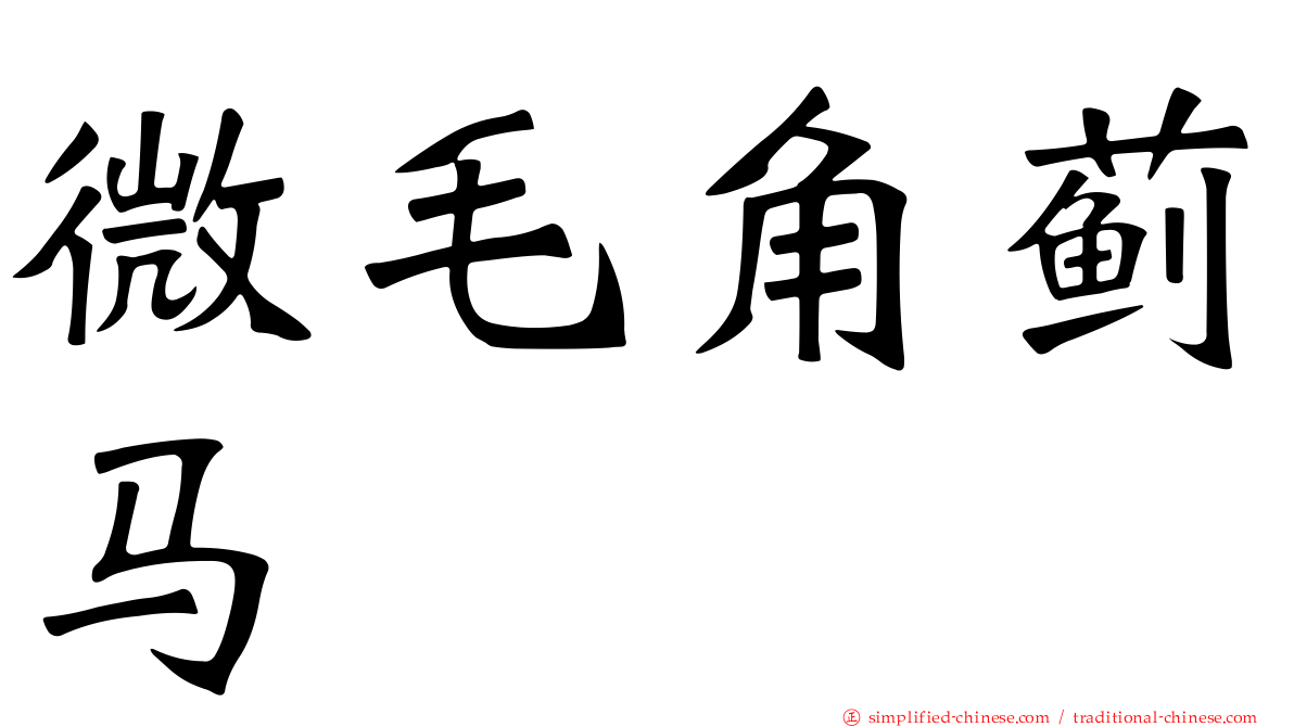 微毛角蓟马