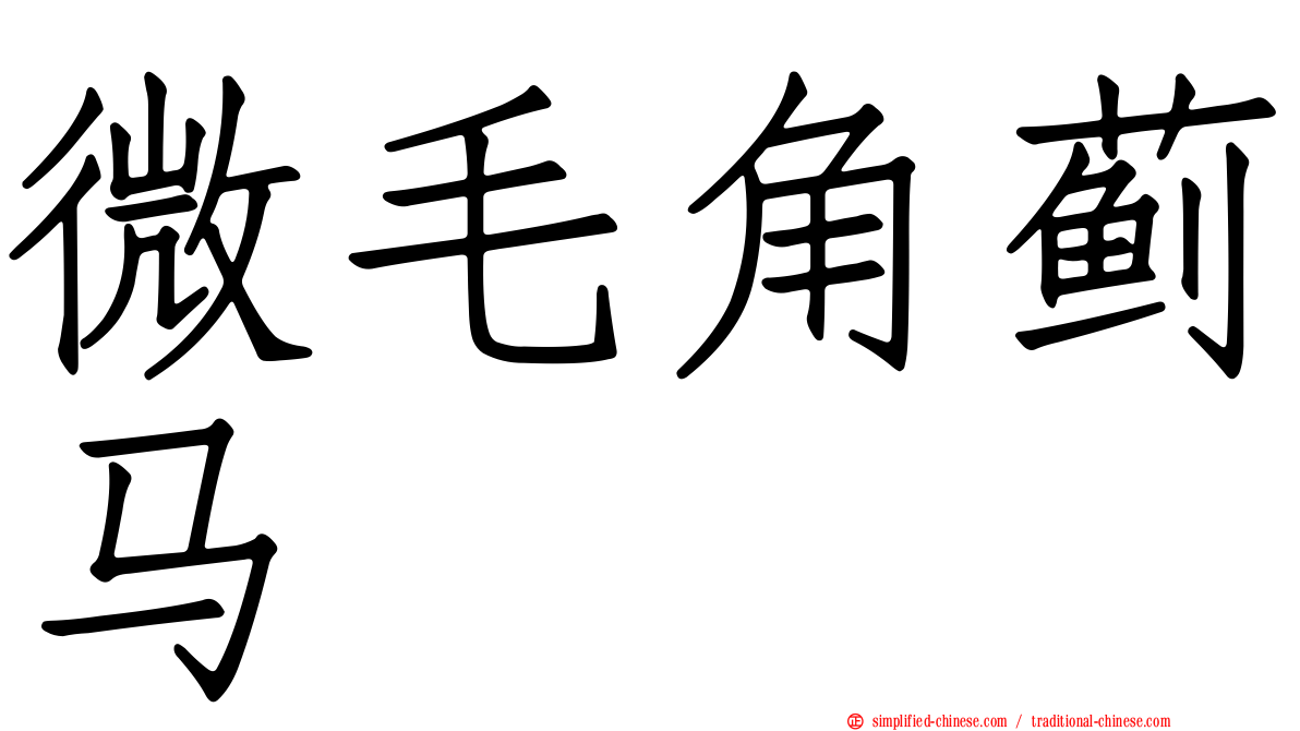 微毛角蓟马