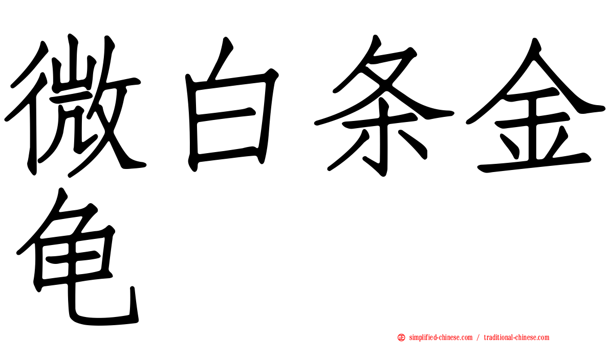 微白条金龟