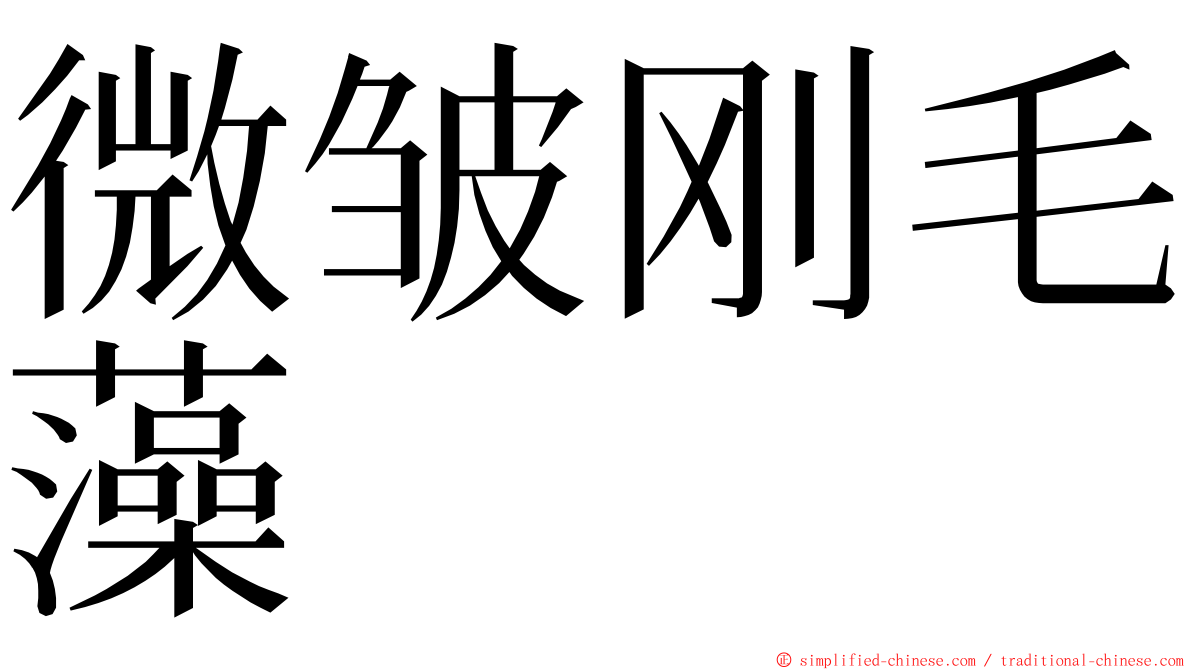 微皱刚毛藻 ming font