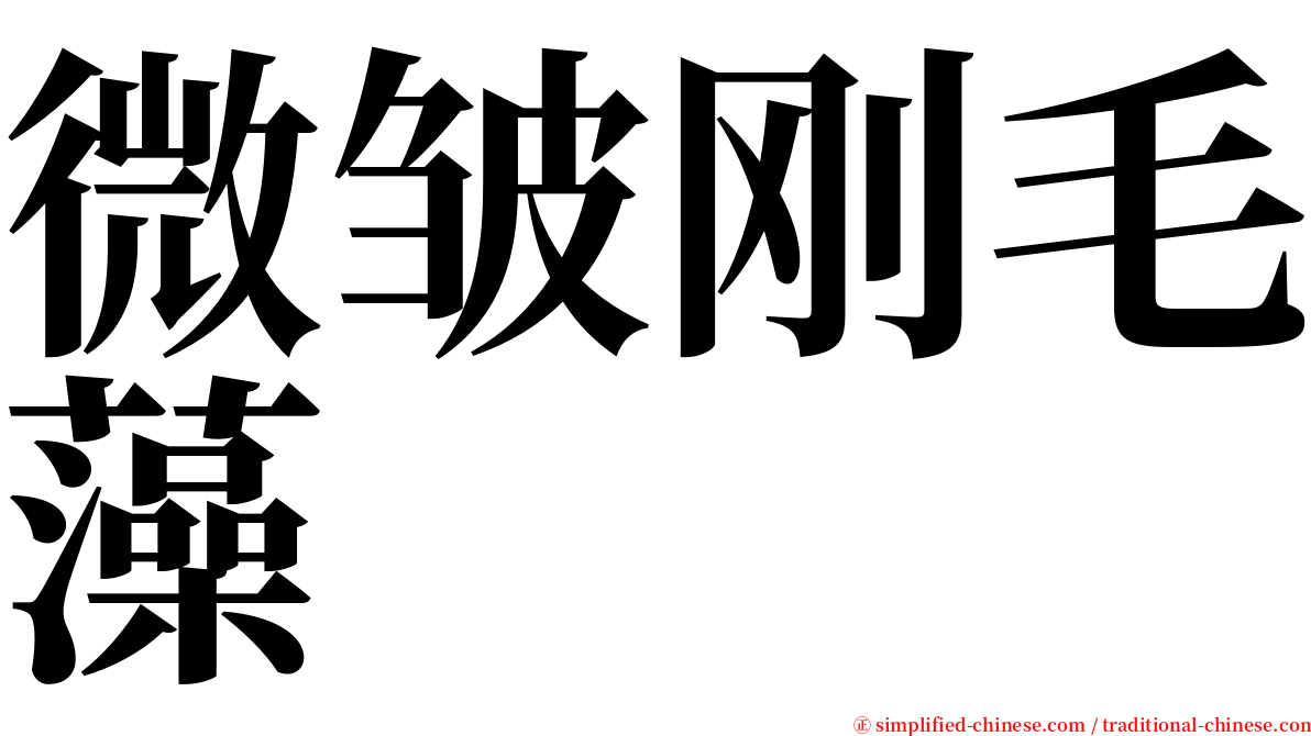 微皱刚毛藻 serif font
