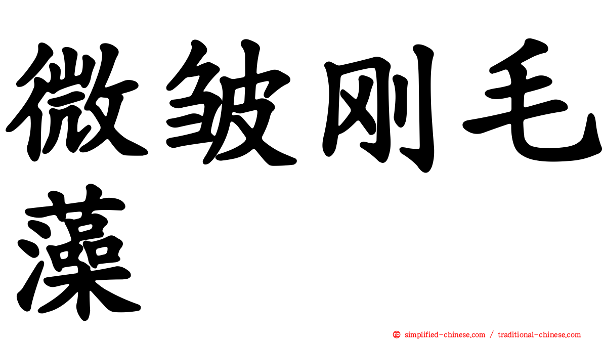 微皱刚毛藻