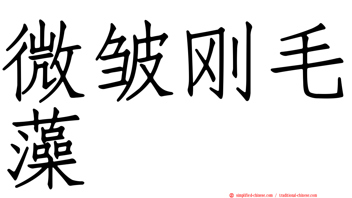 微皱刚毛藻