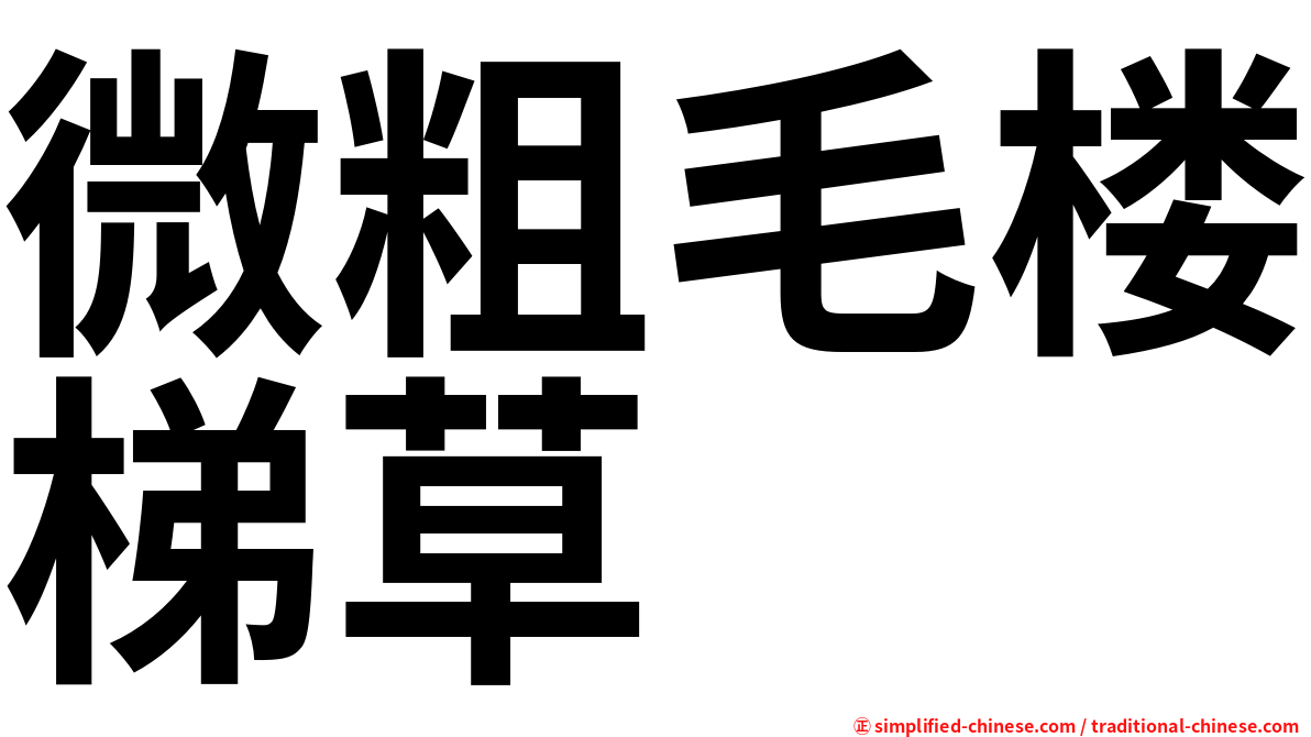 微粗毛楼梯草