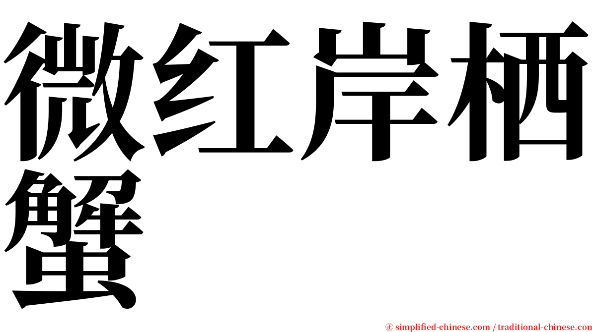 微红岸栖蟹 serif font