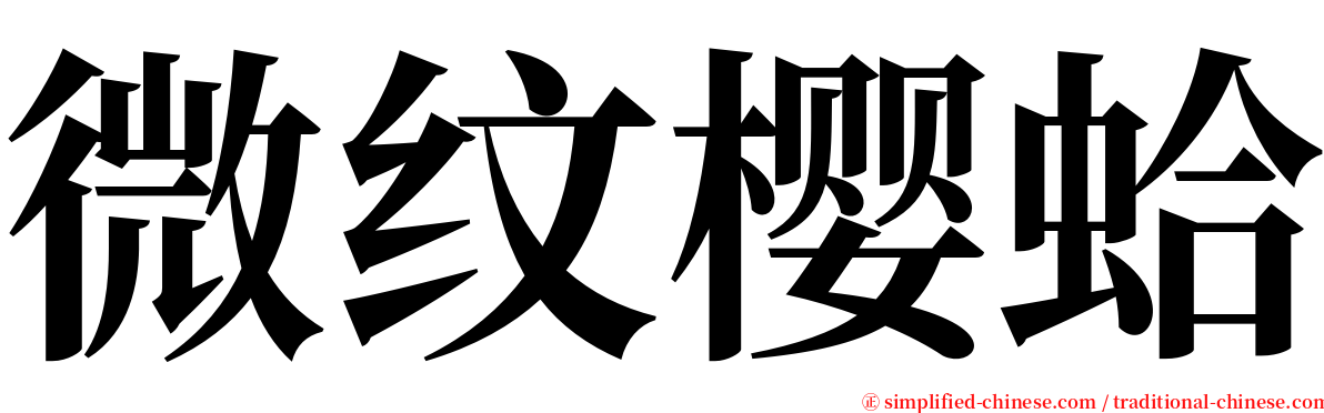微纹樱蛤 serif font
