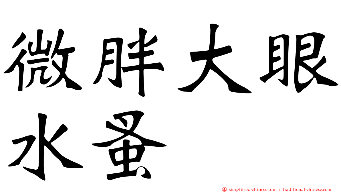 微胖大眼水蚤