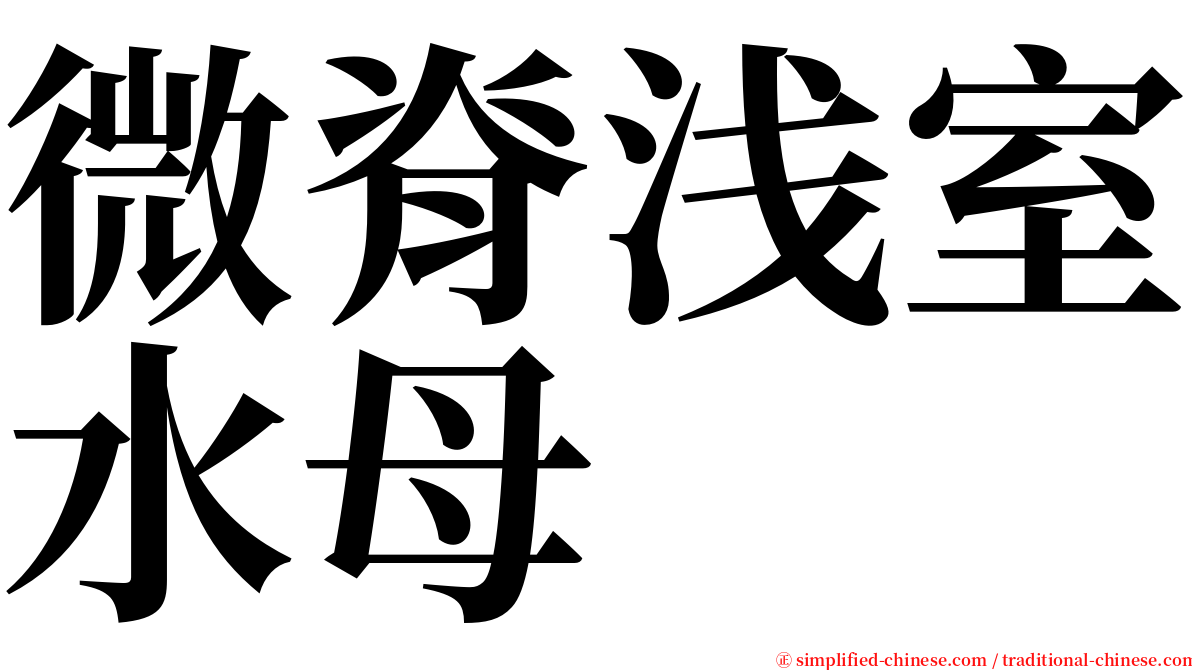 微脊浅室水母 serif font