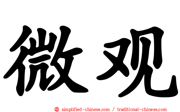 微观