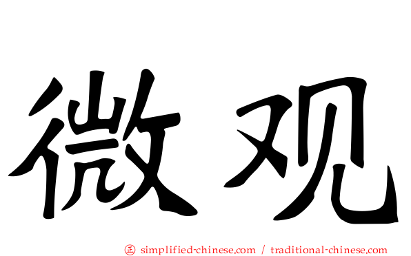 微观