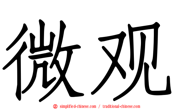 微观