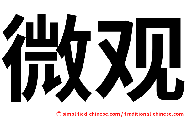 微观