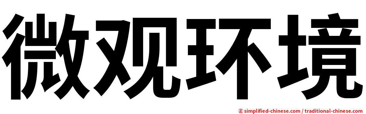 微观环境