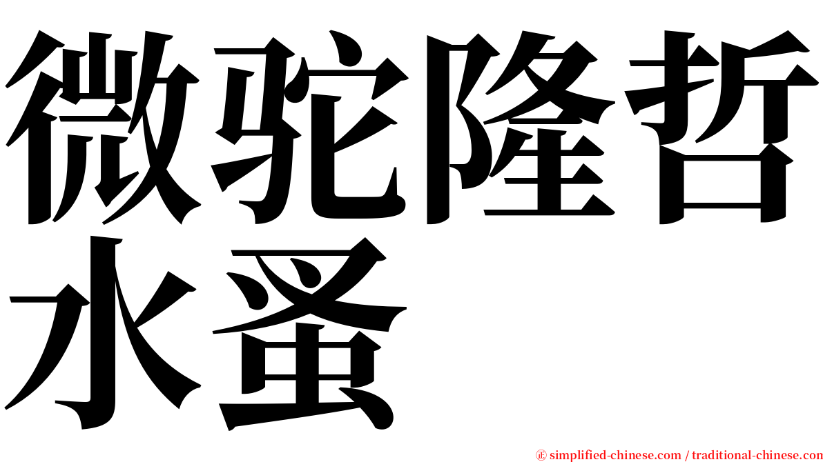 微驼隆哲水蚤 serif font