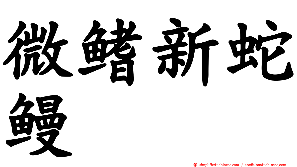 微鳍新蛇鳗