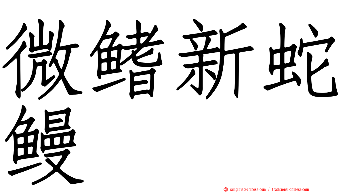 微鳍新蛇鳗