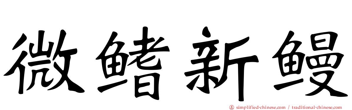 微鳍新鳗