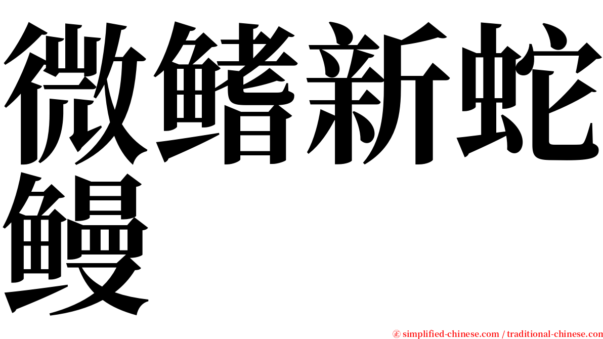 微鳍新蛇鳗 serif font