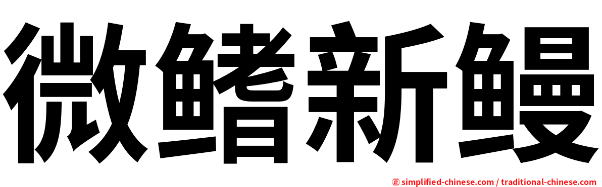 微鳍新鳗