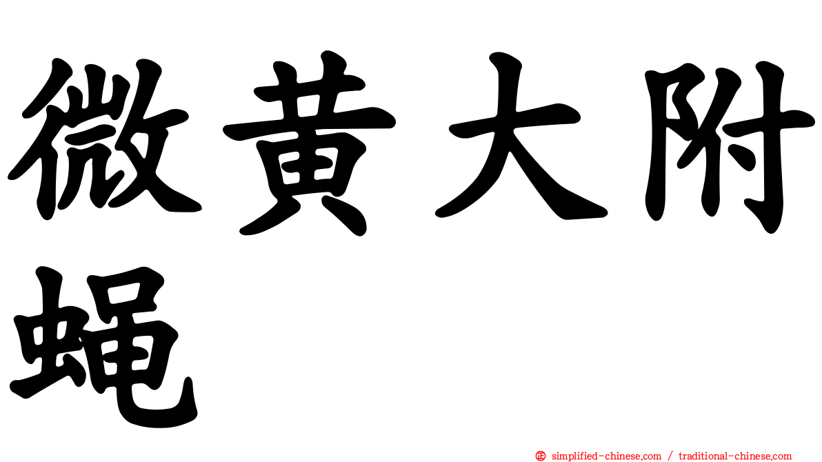 微黄大附蝇