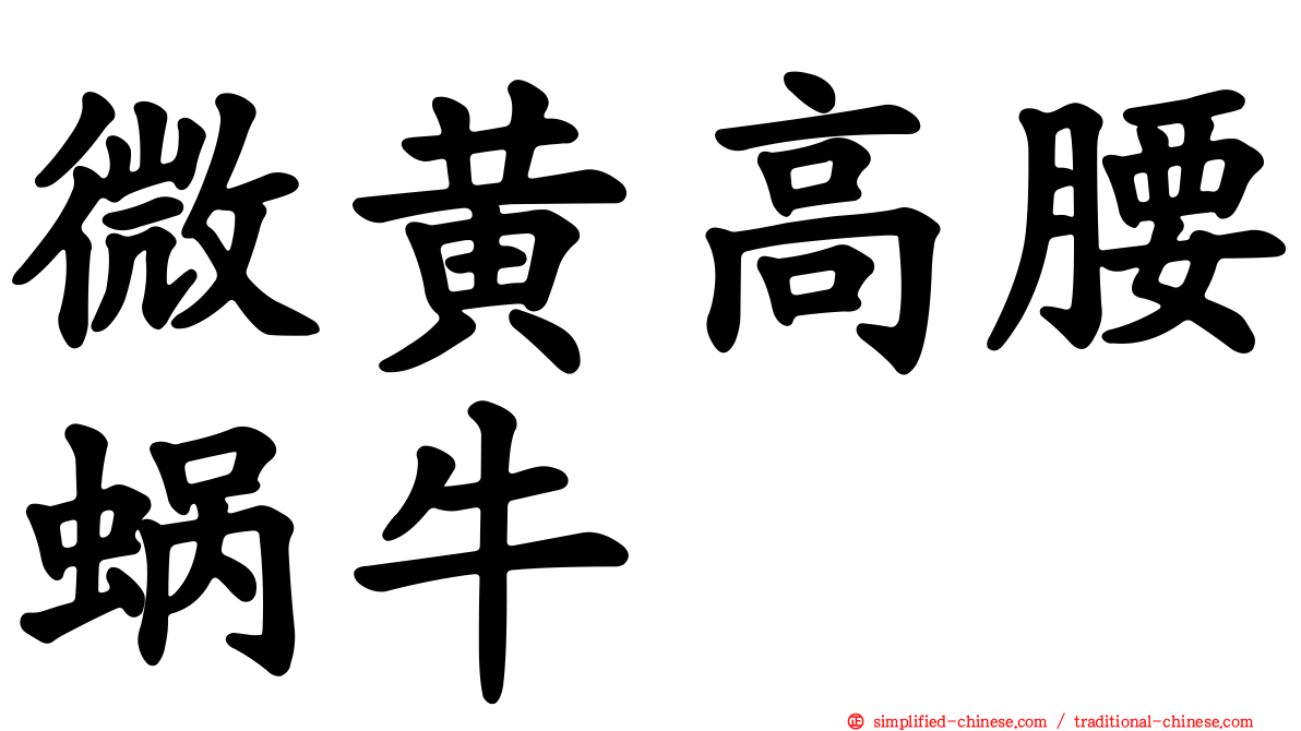 微黄高腰蜗牛