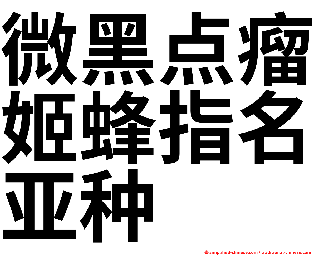 微黑点瘤姬蜂指名亚种
