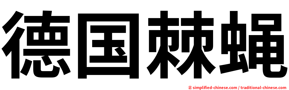 德国棘蝇