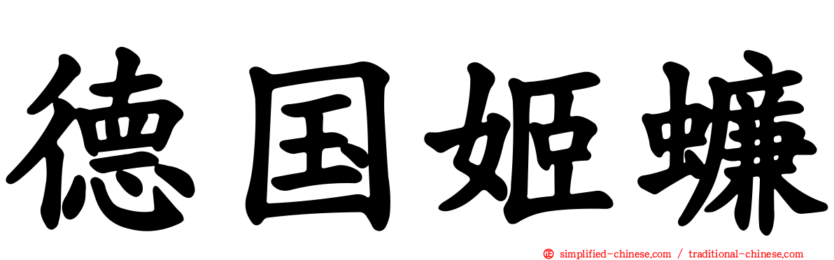 德国姬蠊