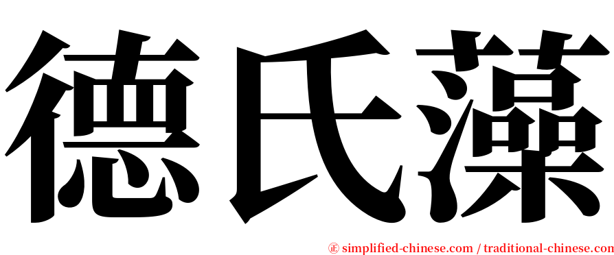 德氏藻 serif font