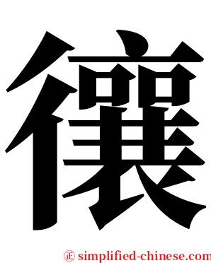 忀 serif font
