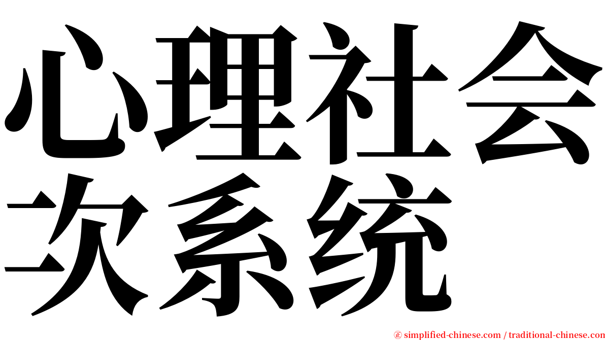 心理社会次系统 serif font