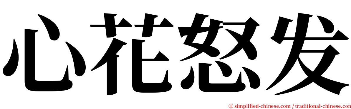 心花怒发 serif font