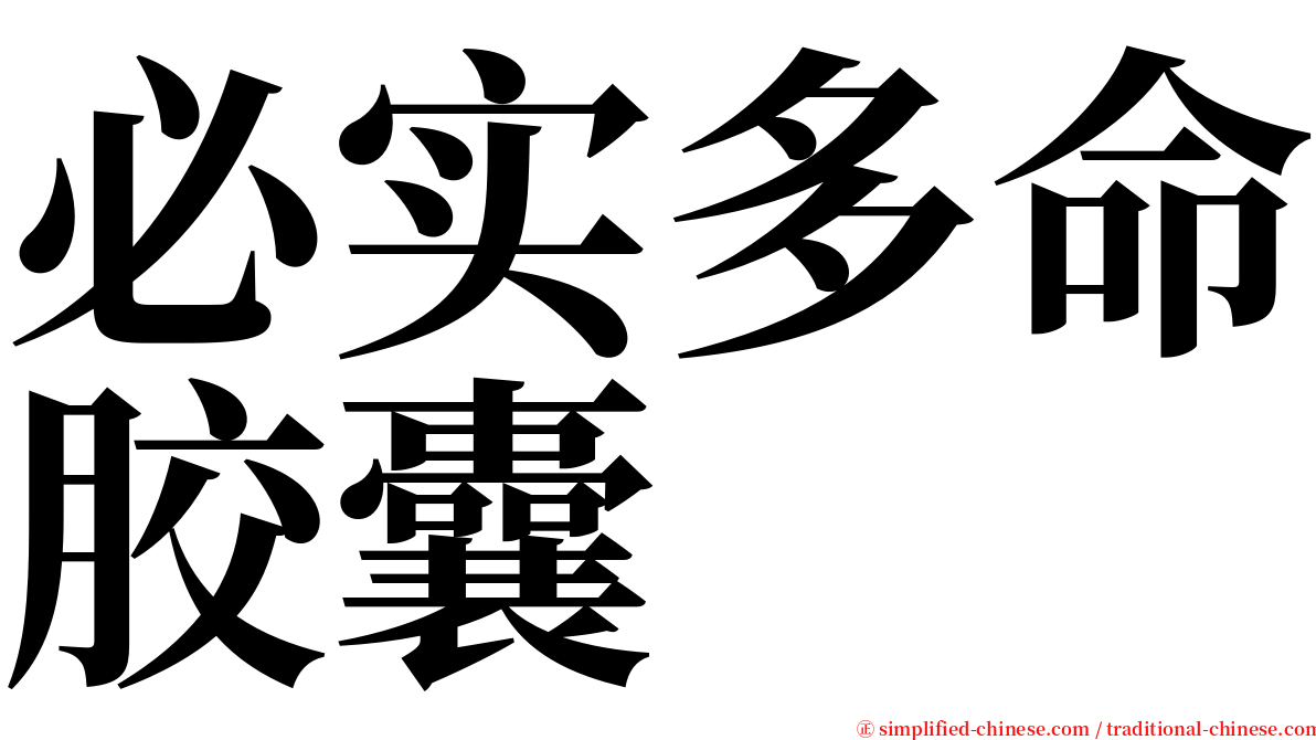 必实多命胶囊 serif font