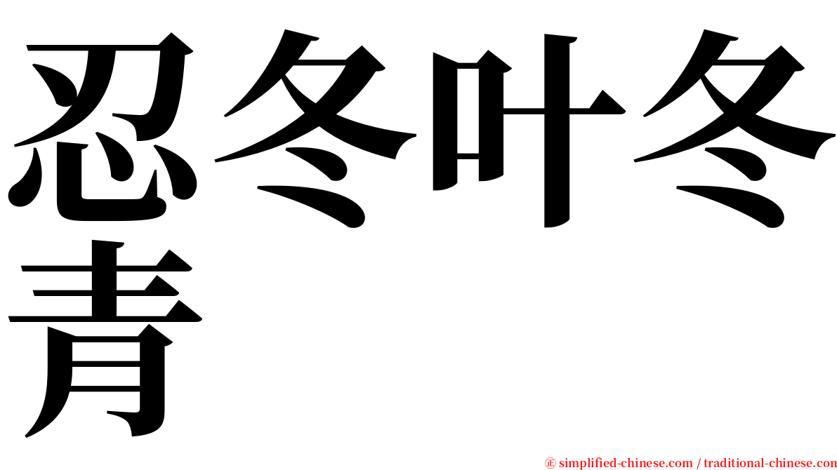忍冬叶冬青 serif font