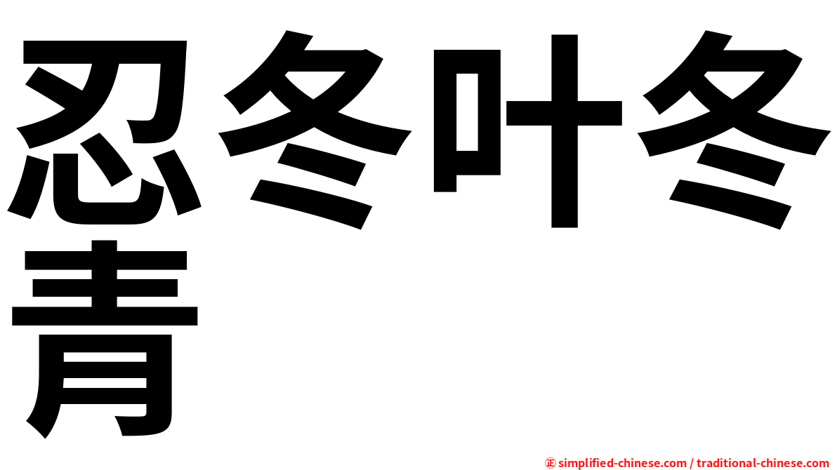 忍冬叶冬青