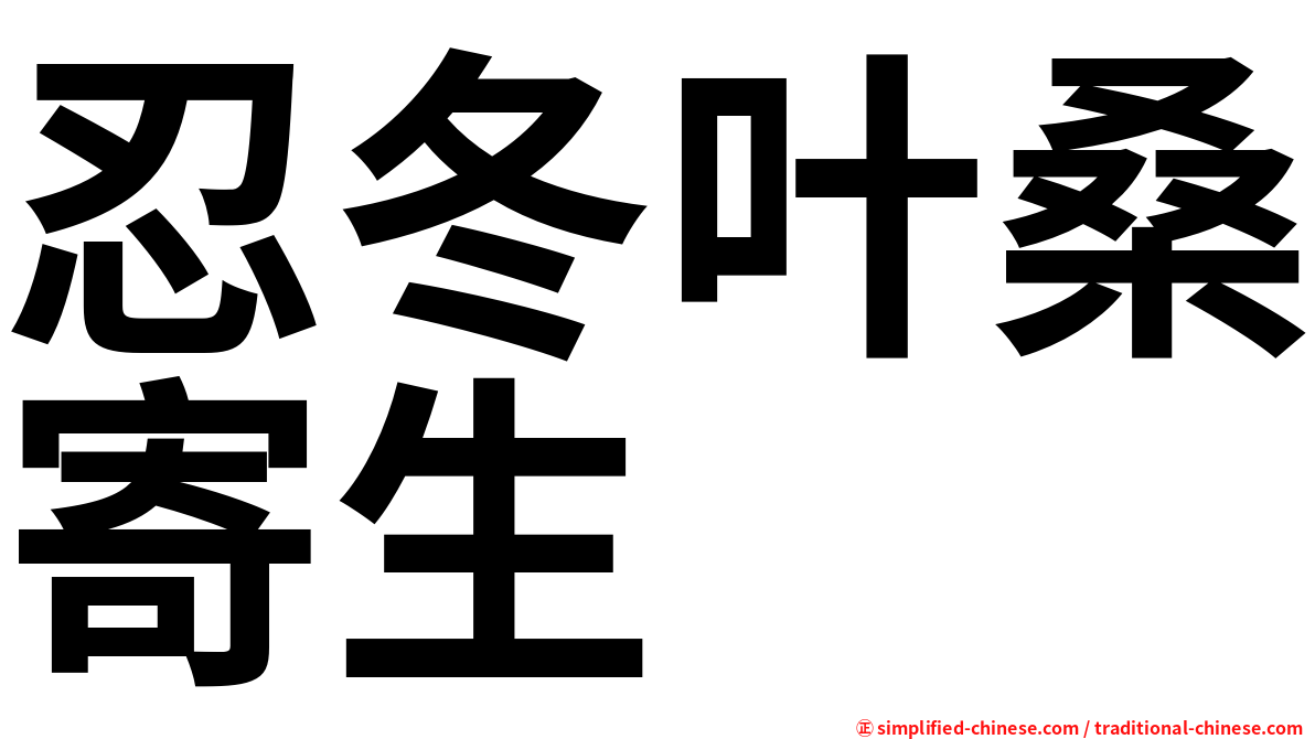 忍冬叶桑寄生